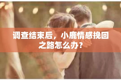 调查结束后，小鹿情感挽回之路怎么办？