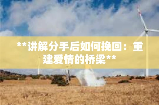 **讲解分手后如何挽回:重建爱情的桥梁** **讲解分手后如何挽回:重建爱情的桥梁**