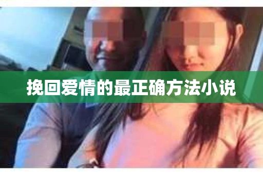 挽回爱情的最正确方法小说