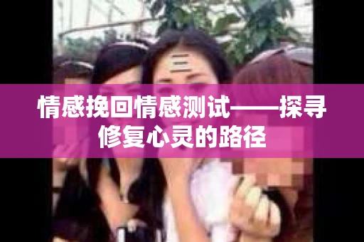 情感挽回情感测试——探寻修复心灵的路径