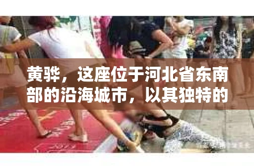 黄骅，这座位于河北省东南部的沿海城市，以其独特的地理位置和丰富的历史文化而闻名。然而，在这座城市中，还有一群人，他们以另一种方式默默守护着社会的公平与正义——私家侦探。今天，我们就来聊聊黄骅的私家侦探，看看他们是如何在这个城市中发挥作用的。