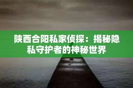 陕西合阳私家侦探：揭秘隐私守护者的神秘世界