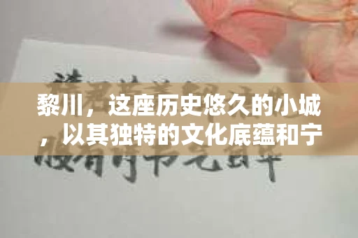 黎川，这座历史悠久的小城，以其独特的文化底蕴和宁静的生活节奏吸引着无数游客。然而，在这样一个看似平静的城市里，你是否会好奇，有没有私家侦探机构的存在呢？今天，就让我带你一探究竟。