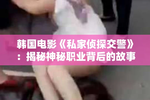 韩国电影《私家侦探交警》：揭秘神秘职业背后的故事