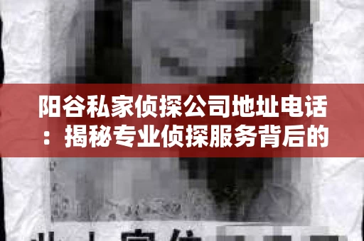 阳谷私家侦探公司地址电话：揭秘专业侦探服务背后的故事