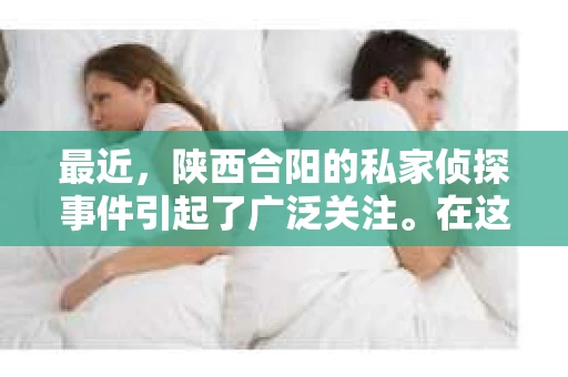 最近，陕西合阳的私家侦探事件引起了广泛关注。在这个信息爆炸的时代，隐私保护显得尤为重要。今天，我们就来聊聊这个事件，看看它背后的一些故事。