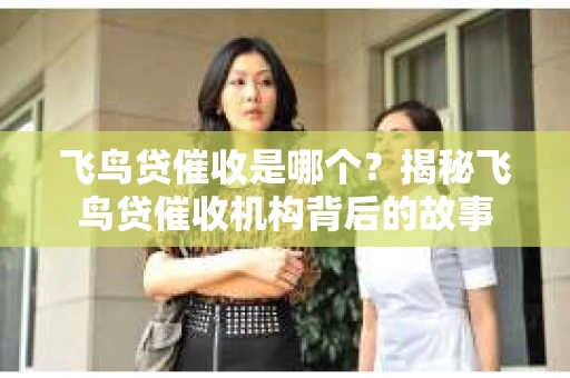飞鸟贷催收是哪个？揭秘飞鸟贷催收机构背后的故事