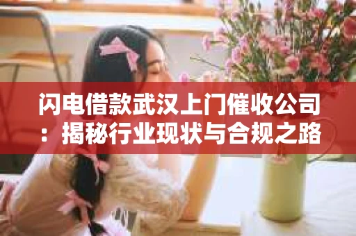 闪电借款武汉上门催收公司：揭秘行业现状与合规之路
