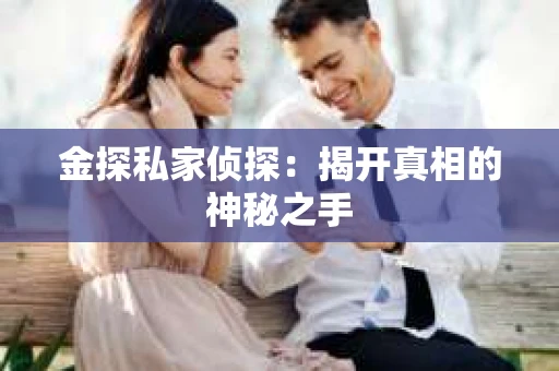 金探私家侦探：揭开真相的神秘之手