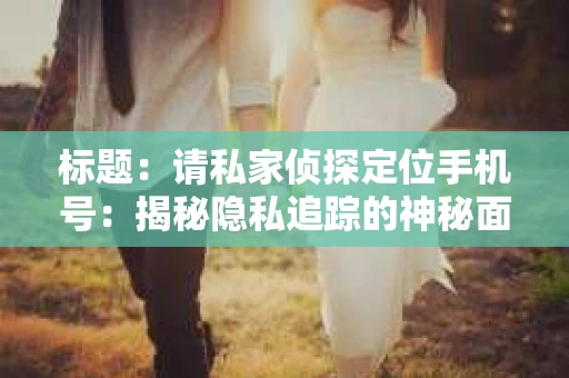 标题：请私家侦探定位手机号：揭秘隐私追踪的神秘面纱