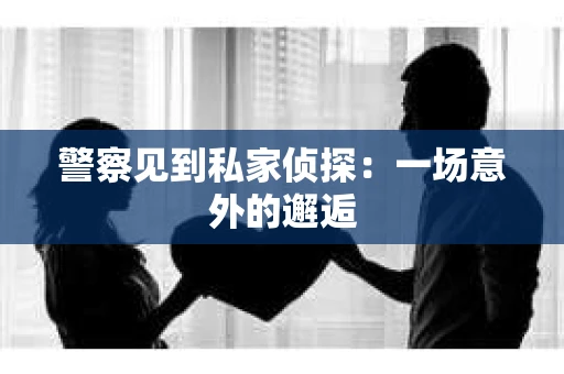 警察见到私家侦探：一场意外的邂逅
