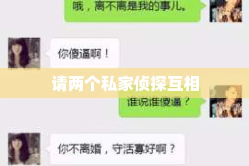 请两个私家侦探互相