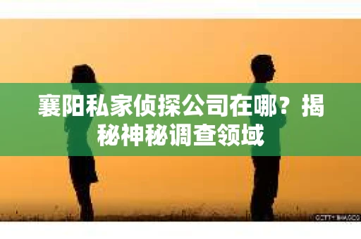 襄阳私家侦探公司在哪？揭秘神秘调查领域