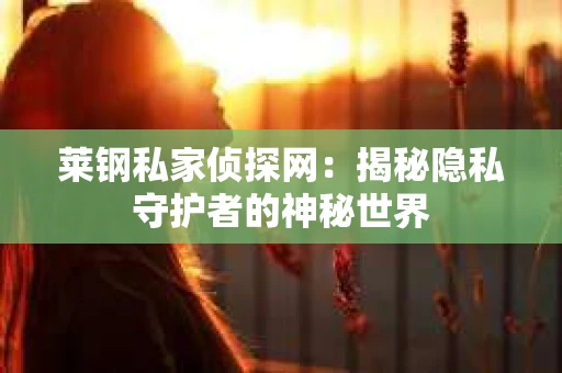 莱钢私家侦探网：揭秘隐私守护者的神秘世界