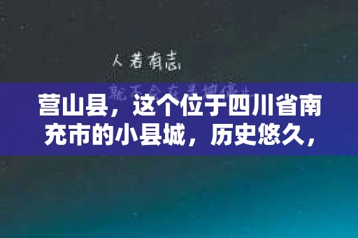 营山县，这个位于四川省南充市的小县城，历史悠久，风景秀丽。但在这个宁静的小县城里，你是否会好奇，有没有私家侦探的存在呢？今天，我就来和大家聊聊这个话题。