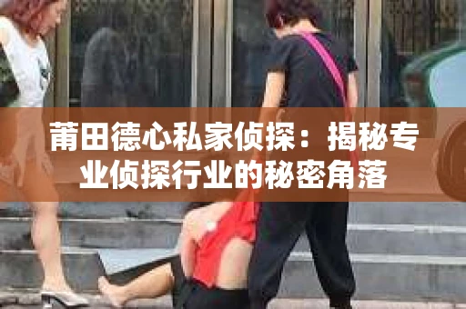 莆田德心私家侦探：揭秘专业侦探行业的秘密角落