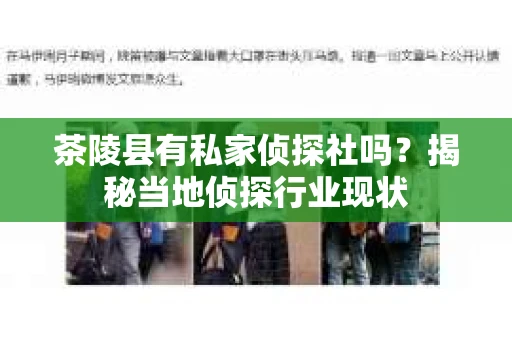 茶陵县有私家侦探社吗？揭秘当地侦探行业现状