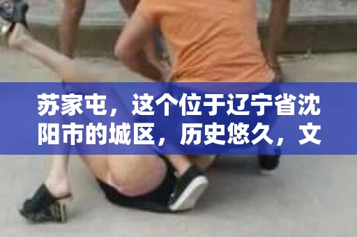 苏家屯，这个位于辽宁省沈阳市的城区，历史悠久，文化底蕴深厚。近年来，随着社会的发展，人们对于私家侦探的需求也逐渐增加。那么，苏家屯有私家侦探吗？今天，我们就来聊聊这个话题。