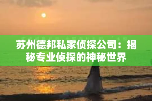 苏州德邦私家侦探公司：揭秘专业侦探的神秘世界