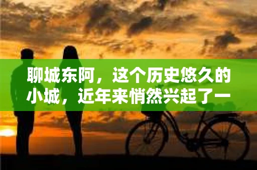 聊城东阿，这个历史悠久的小城，近年来悄然兴起了一股新的服务潮流——私家侦探。今天，我们就来聊聊这个话题，看看在聊城东阿，私家侦探是如何成为人们生活中的一部分的。
