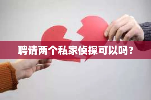 聘请两个私家侦探可以吗? 聘请两个私家侦探可以吗?