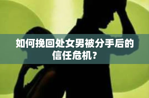 如何挽回处女男被分手后的信任危机？