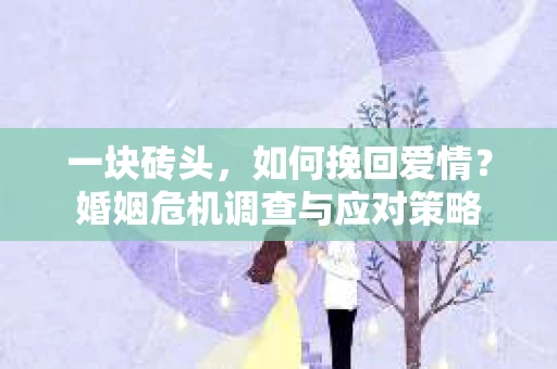 一块砖头,如何挽回爱情?婚姻危机调查与应对策略 一块砖头,如何挽回爱情?婚姻危机调查与应对策略