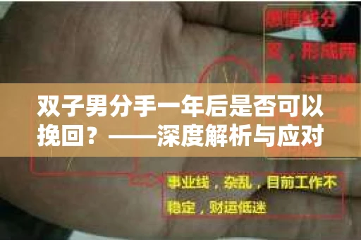双子男分手一年后是否可以挽回？——深度解析与应对策略